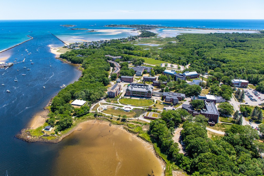 Đại học University of New England | Tổng quan, học bổng và học phí mới nhất 2024